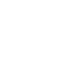 Professional Movers Icon
